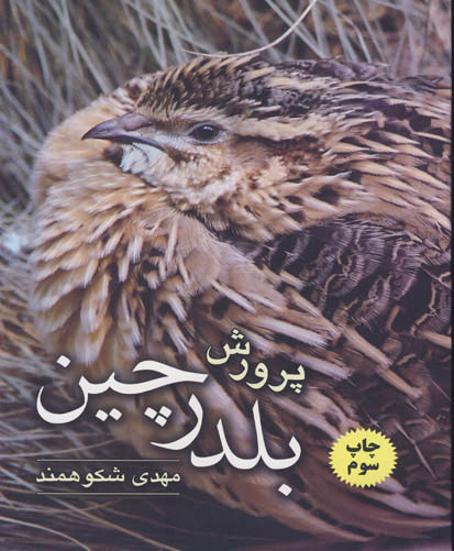 پرورش بلدرچین
